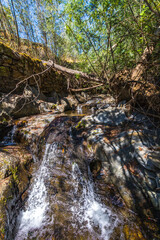 A small stream cascades over rocks in a forested mountain ravine © wundermann