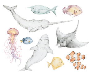 Watercolor set with ocean animals. Narwhal, manta ray, jellyfish, clown fish, blue and yellow tang, beluga whale © Kate K.