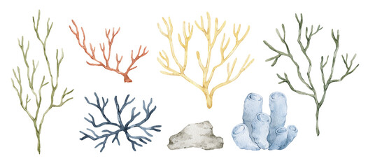 Watercolor corals, seaweeds, anemone. Nautical flora, ocean nature elements. © Kate K.