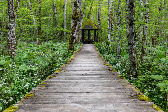Biogradska gora forest house 
