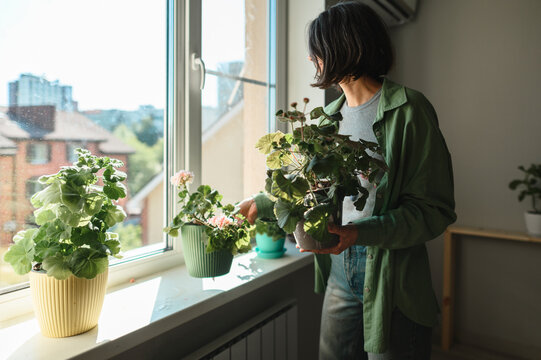 Woman holding potted plant by the window at home