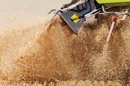 Combine harvester in field of wheat