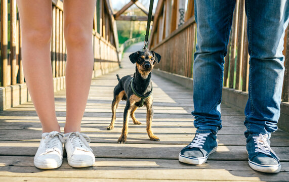 Dog between legs of couple on a bridge