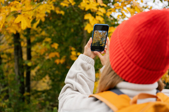 Woman photographs autumn forest leaves with a smartphone outdoors