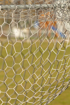 Close-up view of a curved hexagonal metal wire mesh stretched across a frame, photographed with shallow depth of field. Shiny galvanized wires create