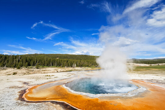 USA, Wyoming, Yellowstone National Park, Upper Geyser Basin, Crested Pool, Hot spring