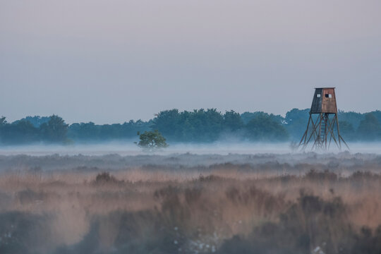 Germany, North Rhine-Westphalia, Recker Moor, Landscape with raise hide in morning fog