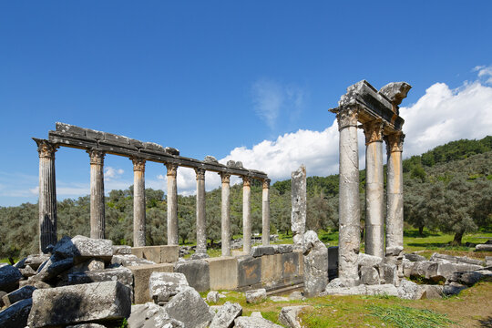 Turkey, Milas, View of Zeus Temple