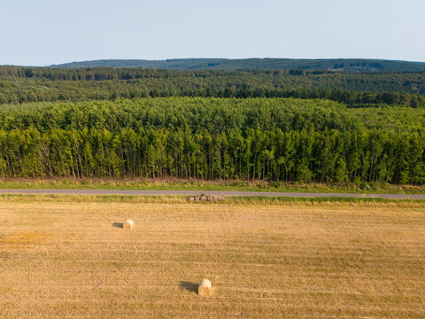Aerial view of a harvested wheat field with scattered hay bales, bordered by a dense green forest under a clear summer sky in Trier-Saarburg, Rhineland-Palatinate, Germany.