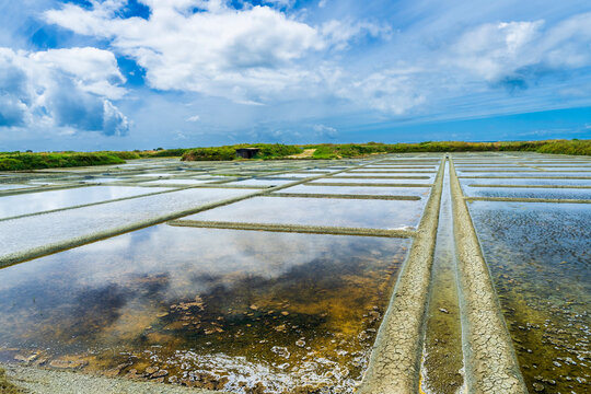 Reflective water fills the geometric salt marsh in Gu�rande France