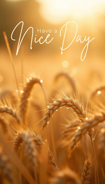 Have a Nice Day - golden wheat stalks glowing in warm sunlight, dewdrops shimmering on the grains.