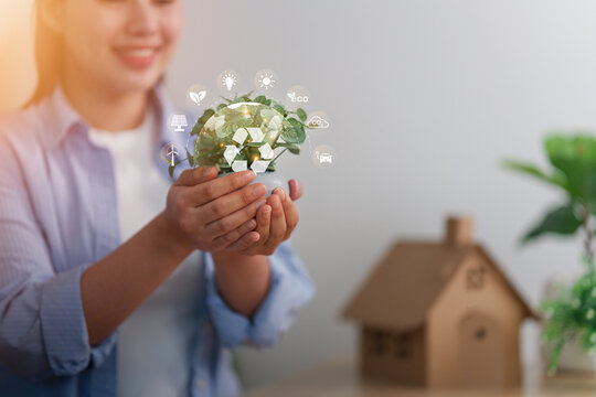 Woman holding plant with eco icons near cardboard house for sustainable green living concept