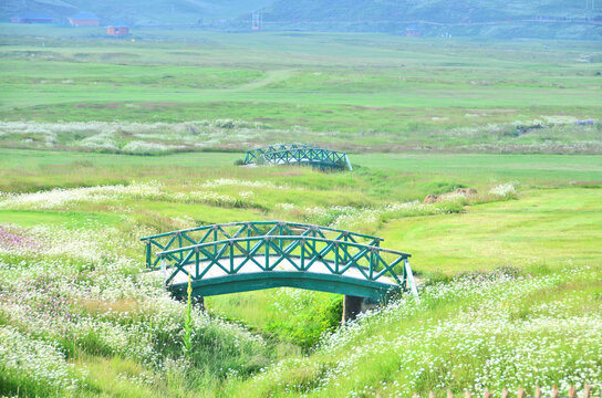 Gulmarg (also known as Gulmarag 'meadow of flowers') popular tourist and skiing destination in Kashmir  of the Indian union territory of Jammu and Kashmir. 