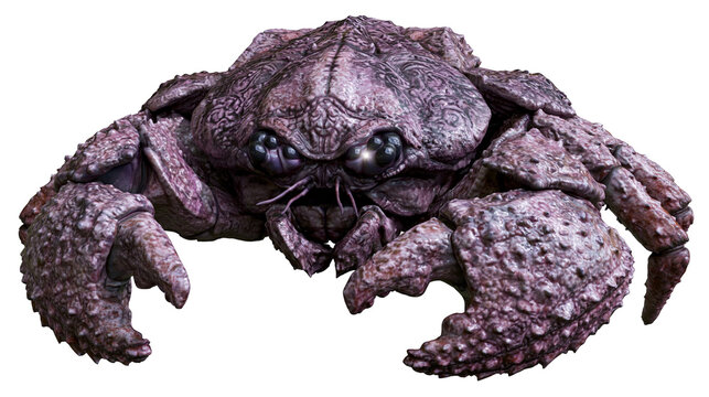 Crustacean creature with large claws and textured purple shell