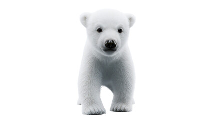 Cute polar bear cub standing front view, white fur © Ophelia
