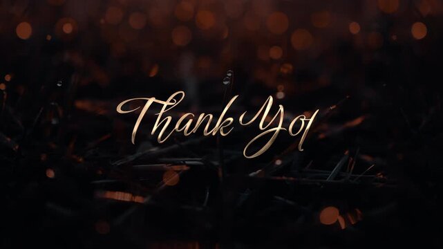 Elegant gold cursive Thank You text animation appearing over a dark cinematic nature background with warm orange bokeh lights and blurred grass for a grateful closing scene