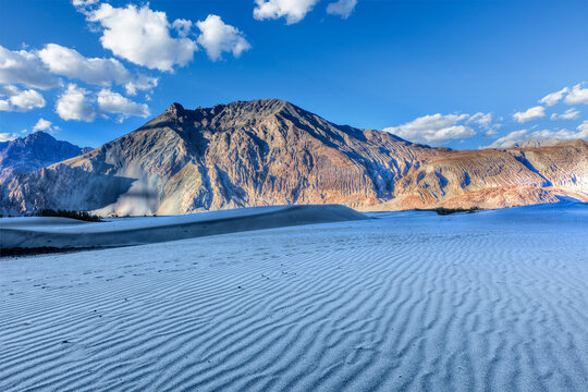 A hDR (high dynamic range) view of sand dunes in Himalayas on sunset. Hunder, Nubra valley, Ladakh, India