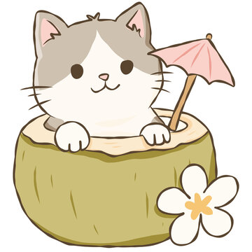Calico Cat Sitting in Coconut with Pink Umbrella Cute Tropical Beach Doodle Illustration