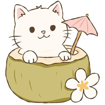 White Cat Sitting in Coconut with Pink Umbrella Cute Tropical Summer Doodle Illustration