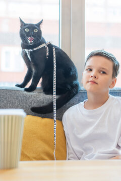 A Caucasian boy in a cafe with a cat on a leash. 