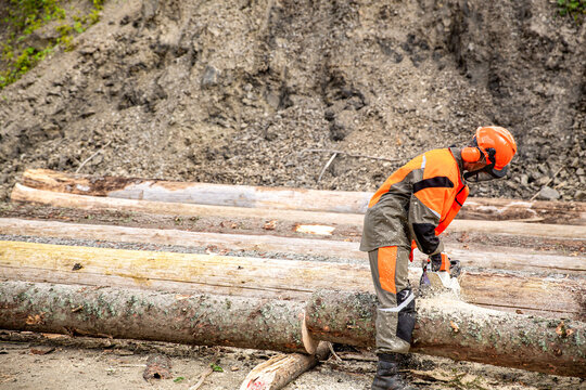 Male tree surgeon sawing tree trunk using chainsaw in forest. Arborist cutting a tree a chainsaw. Lumberjack logger worker in protective gear cutting firewood timber tree in forest with chainsaw