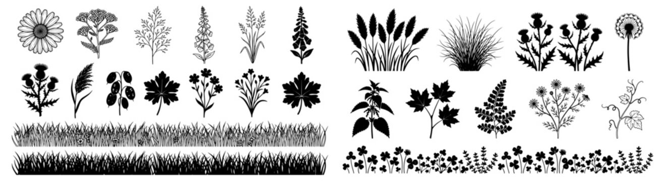 Black Floral And Grass Silhouettes Vector Set With Decorative Borders And Leaf Elements 