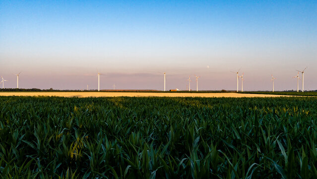 Aerial view of a wind farm with multiple wind turbines rising above green corn fields and golden wheat fields under a clear sky in Level, Hungary.