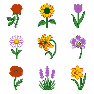 Pixel Flower Art Set Diverse Botanical Digital Icons for Retro Game Design
