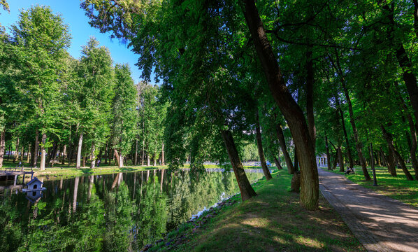 Scenic park path bordered by tall trees reflecting in calm water