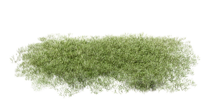 Green grass texture field isolated on transparent background png