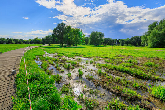 Lush green field with shallow water reflecting sky