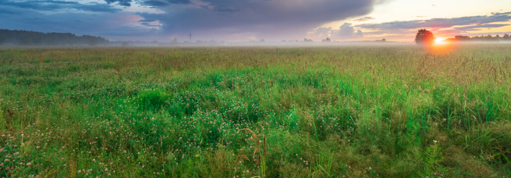 Wide open meadow under soft twilight sky
