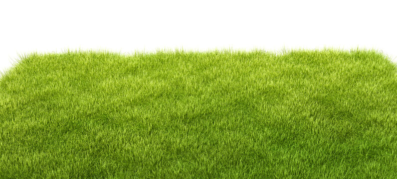 Green grass texture field isolated on transparent background png