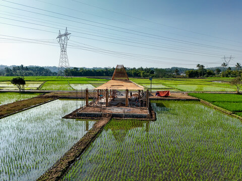 Aerial view of the construction of a traditional Javanese Joglo house situated amidst vibrant green rice paddies under a clear blue sky in Kecamatan Tingkir, Jawa Tengah, Indonesia.