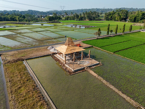 Aerial view of the construction of a traditional Javanese Joglo structure situated amidst lush green rice paddies in Kecamatan Tingkir, Jawa Tengah, Indonesia.