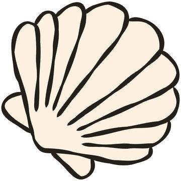 Scallop Seashell Hand Drawn Coastal Beach Ocean Doodle Illustration