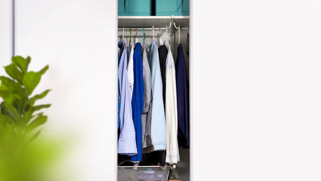 Open wardrobe with blue and white clothes on hangers, blurred houseplant and light gray background. Concept of organized closet, curated essentials and seasonal wardrobe refresh. Banner, copy space