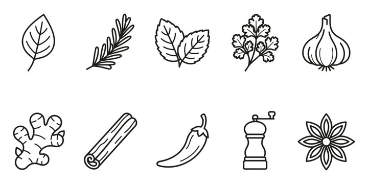 Set of herbs and spices cooking icons with cinnamon rosemary seasoning culinary ingredient illustration monochrome