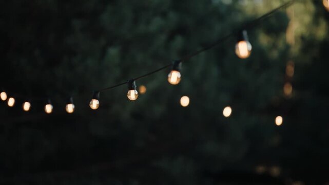 String lights hang above a garden during an evening gathering in a backyard