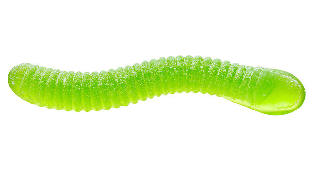 Green gummy worm candy with sugar coating