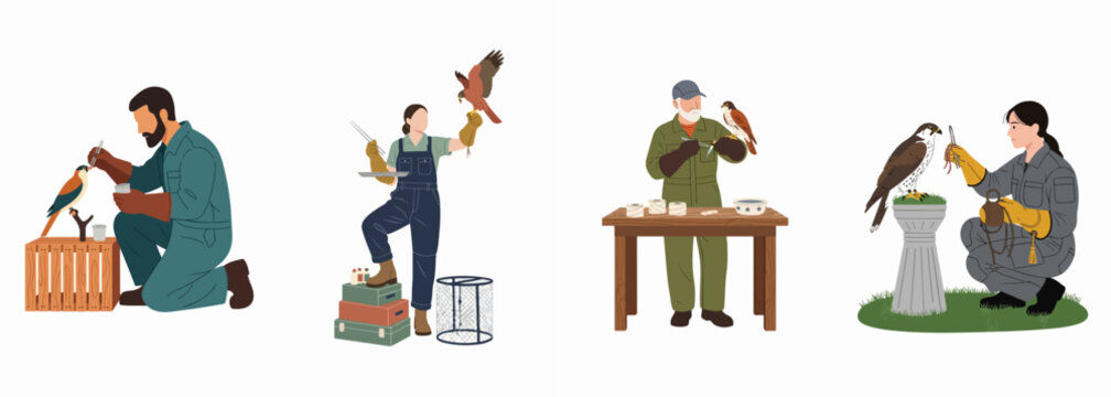 Collection of Professional Falconers and Bird of Prey Handlers Training and Caring for Hawks and Falcons with Protective Gauntlets, Wildlife Rehabilitation and Ornithology Vector Illustration