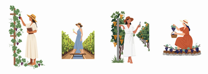 Naklejka premium Vector Illustration Set of Women Harvesting Grapes in a Vineyard, Minimalist Flat Design Collection of Viticulture Scenes, Female Farmers Working in Winery Rows during Summer Wine Harvest