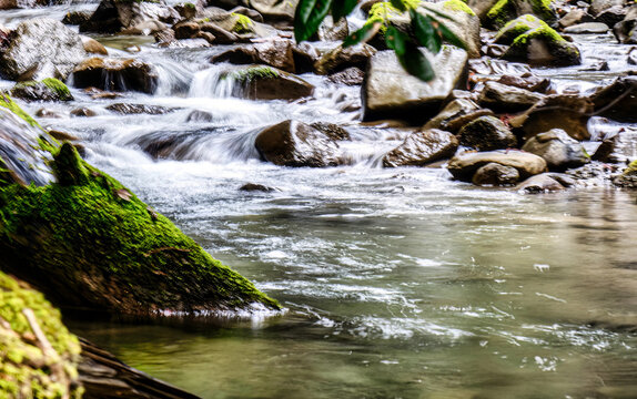 A moss covered fallen tree trunk lies to the left of a rocky stream with smooth flowing water cascading over stones in a lush forest. The water creates a silky effect due to the long exposure, with