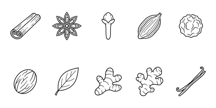 Set of hand-drawn spice and herb illustrations in black line art style with seasoning ingredients aromatic sketched handdrawn cinnamon cardamom