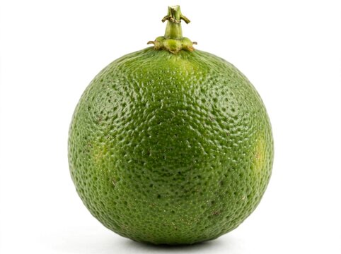 Realistic Fresh Lime Jeruk Nipis Isolated on White Background