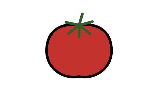 Single fresh tomato vegetable illustration with vegetable, nutrition