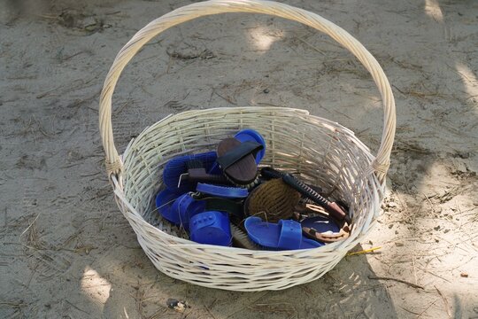 top view of Multi-colored plastic and wooden brushes and scrapers for cleaning horses lie in a wicker basket standing on the sand near the stable in summer and autumn