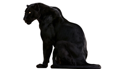 Black panther sitting looking to the side, with glowing eyes © Elowen