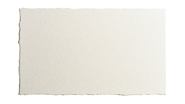 Rough textured off-white paper sheet with deckled edges