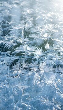Delicate Frost Patterns on Cold Window Surface.